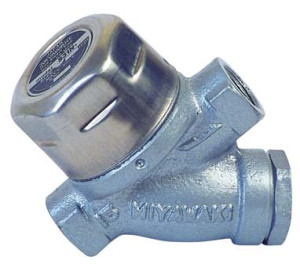 PURGADOR TERMODINAMICO FILTRO